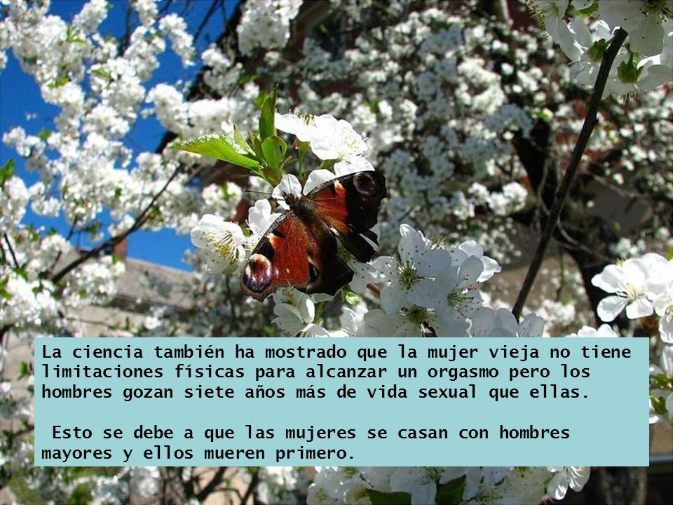 Can Diabeticos en la los sexual vida simply excellent Final, Diabeticos en la los sexual vida